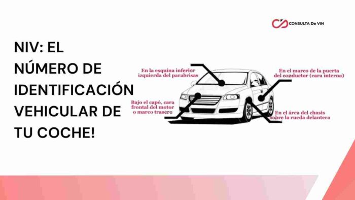 NIV_ El Número de Identificación Vehicular de tu coche!
